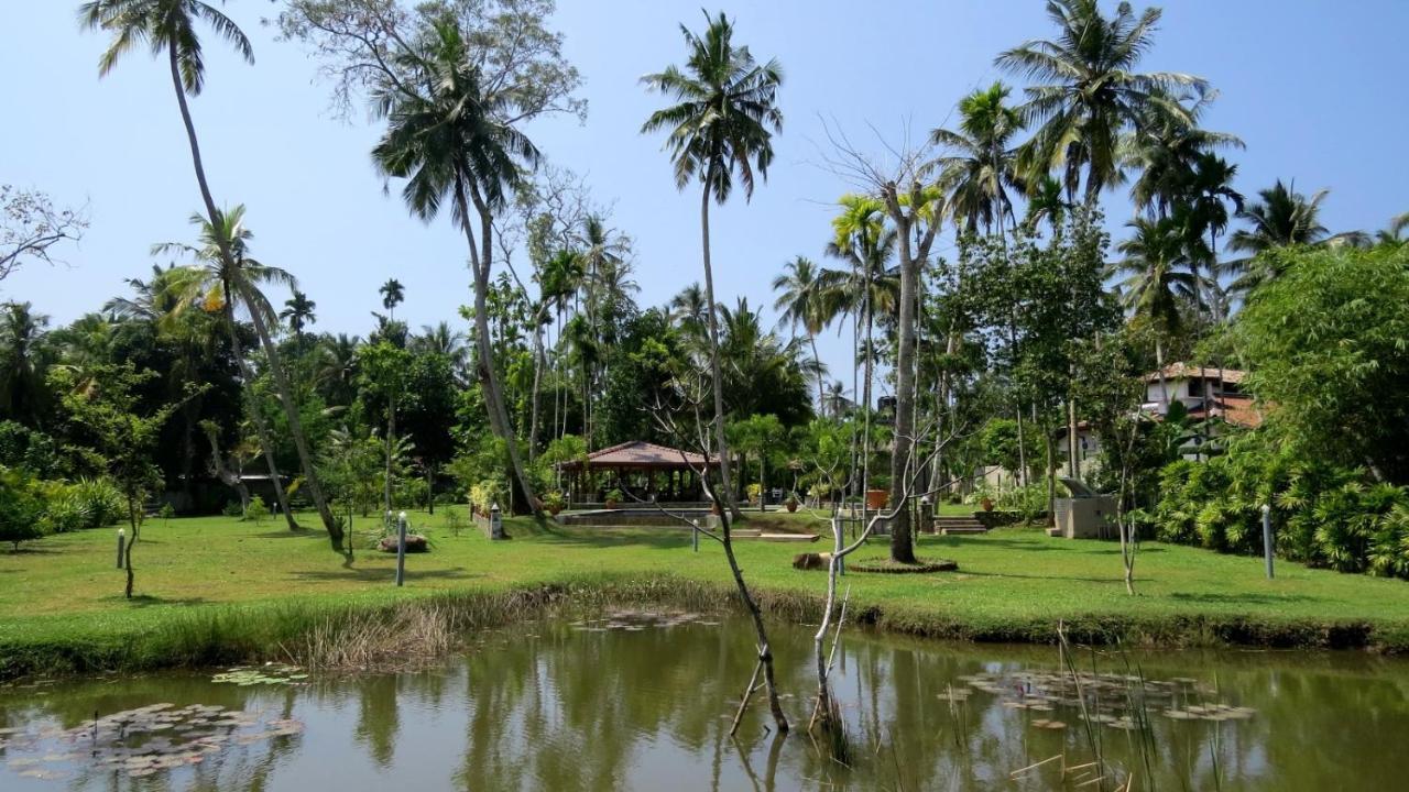 Avalon Village Resort Induruwa Luaran gambar