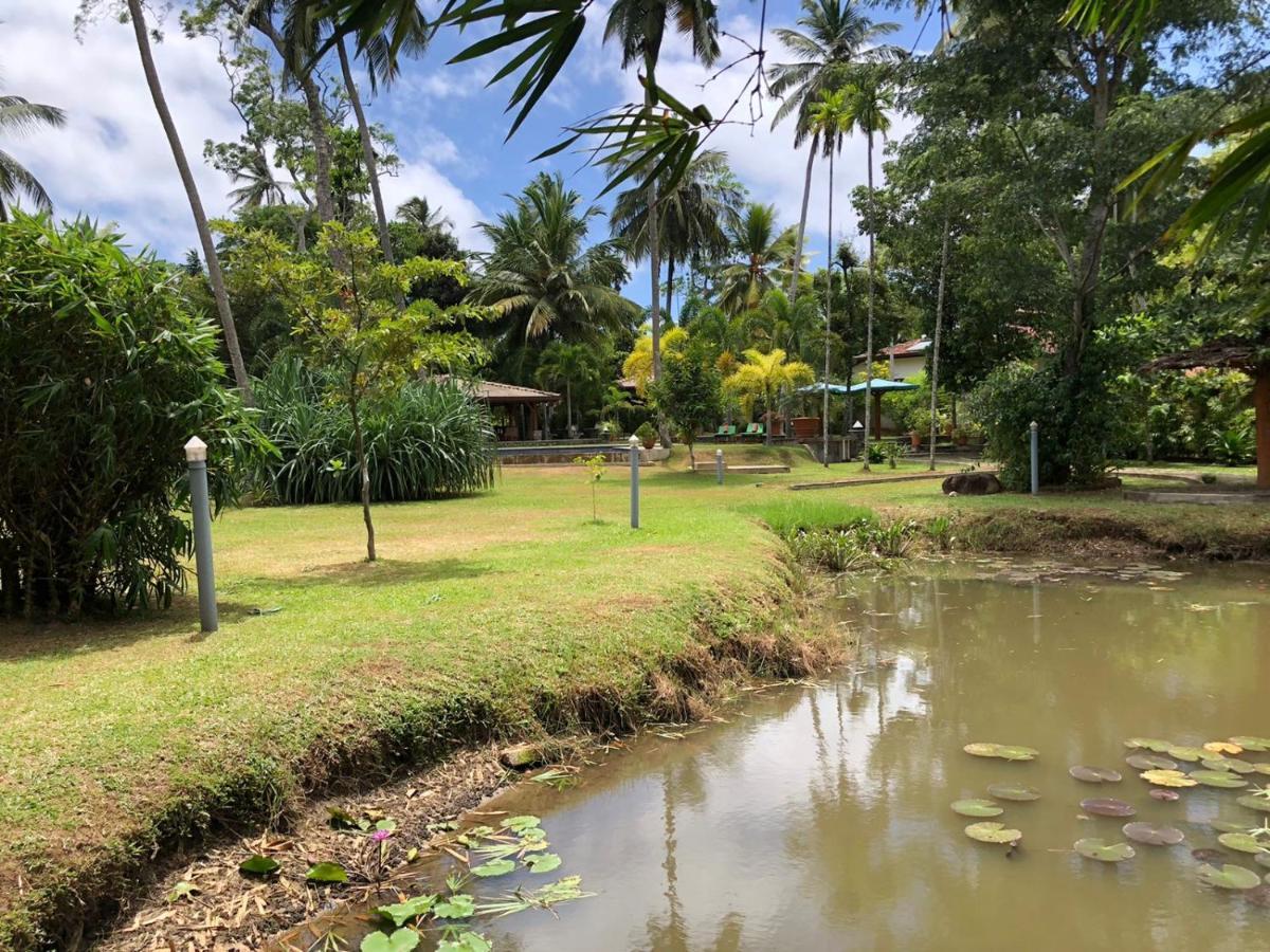 Avalon Village Resort Induruwa Luaran gambar