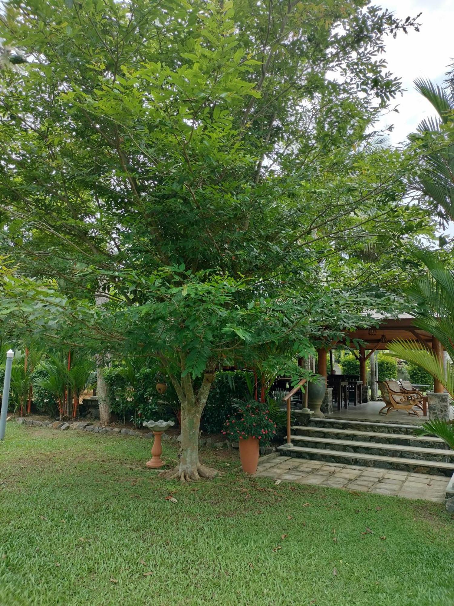 Avalon Village Resort Induruwa Luaran gambar