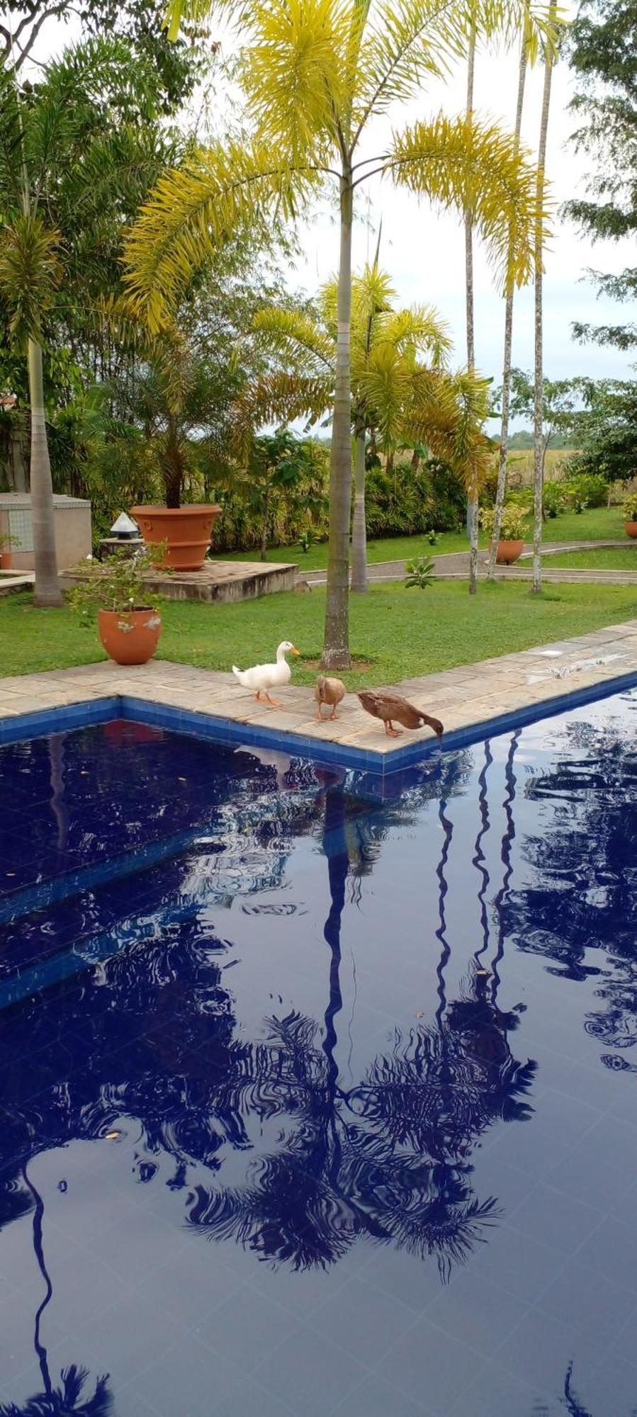 Avalon Village Resort Induruwa Luaran gambar
