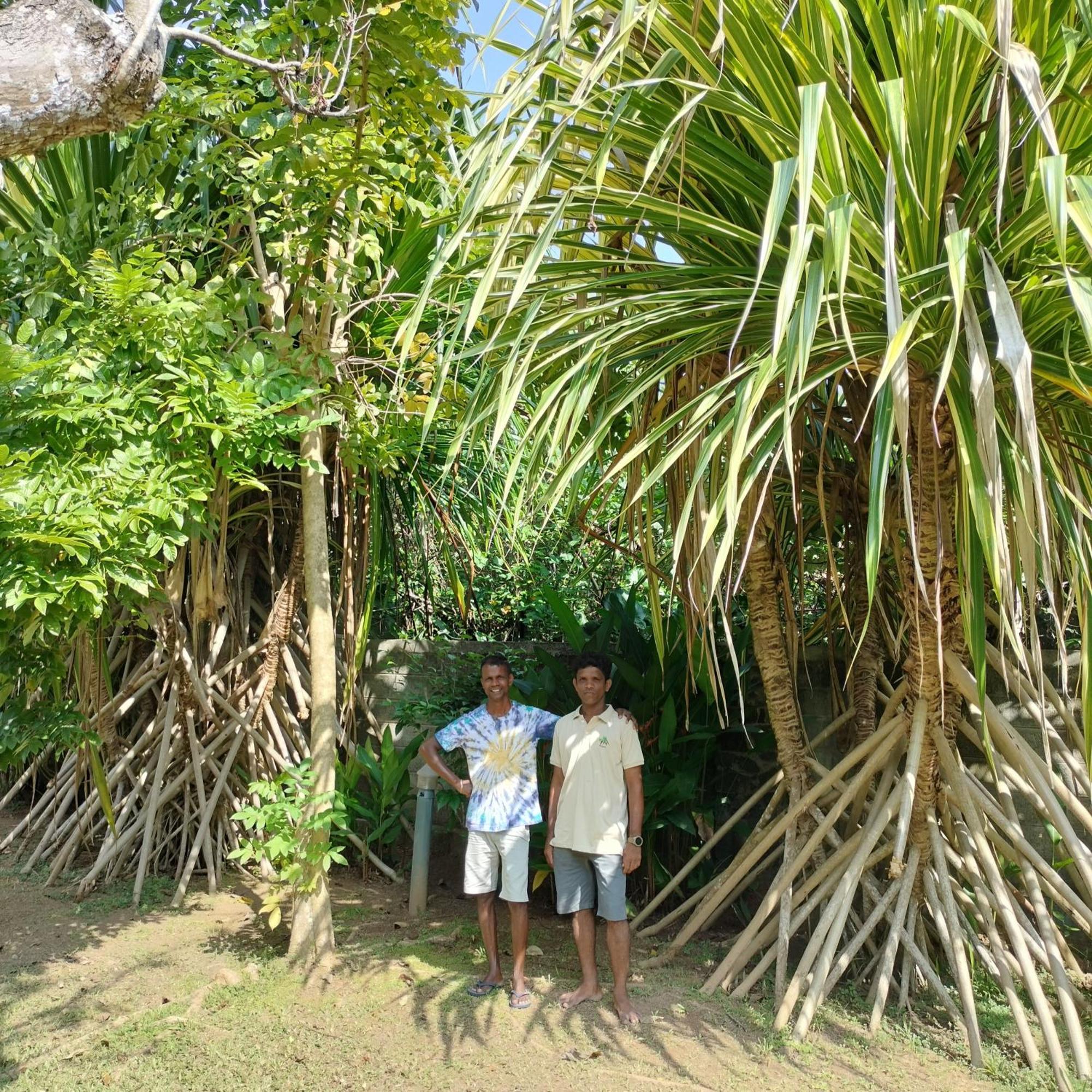 Avalon Village Resort Induruwa Luaran gambar