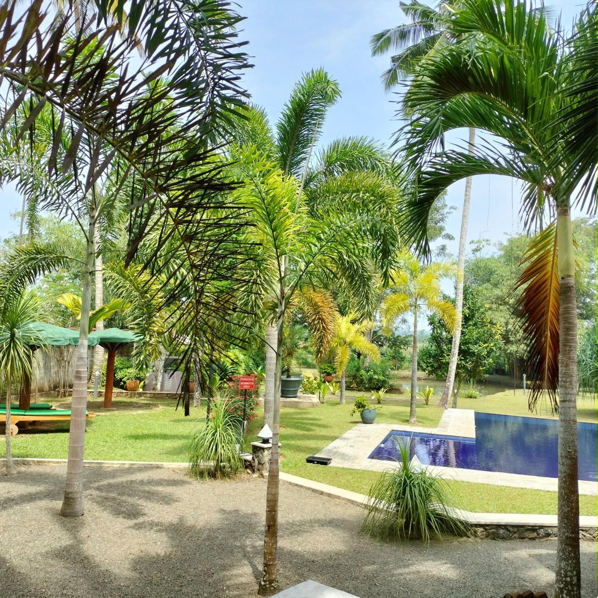 Avalon Village Resort Induruwa Luaran gambar