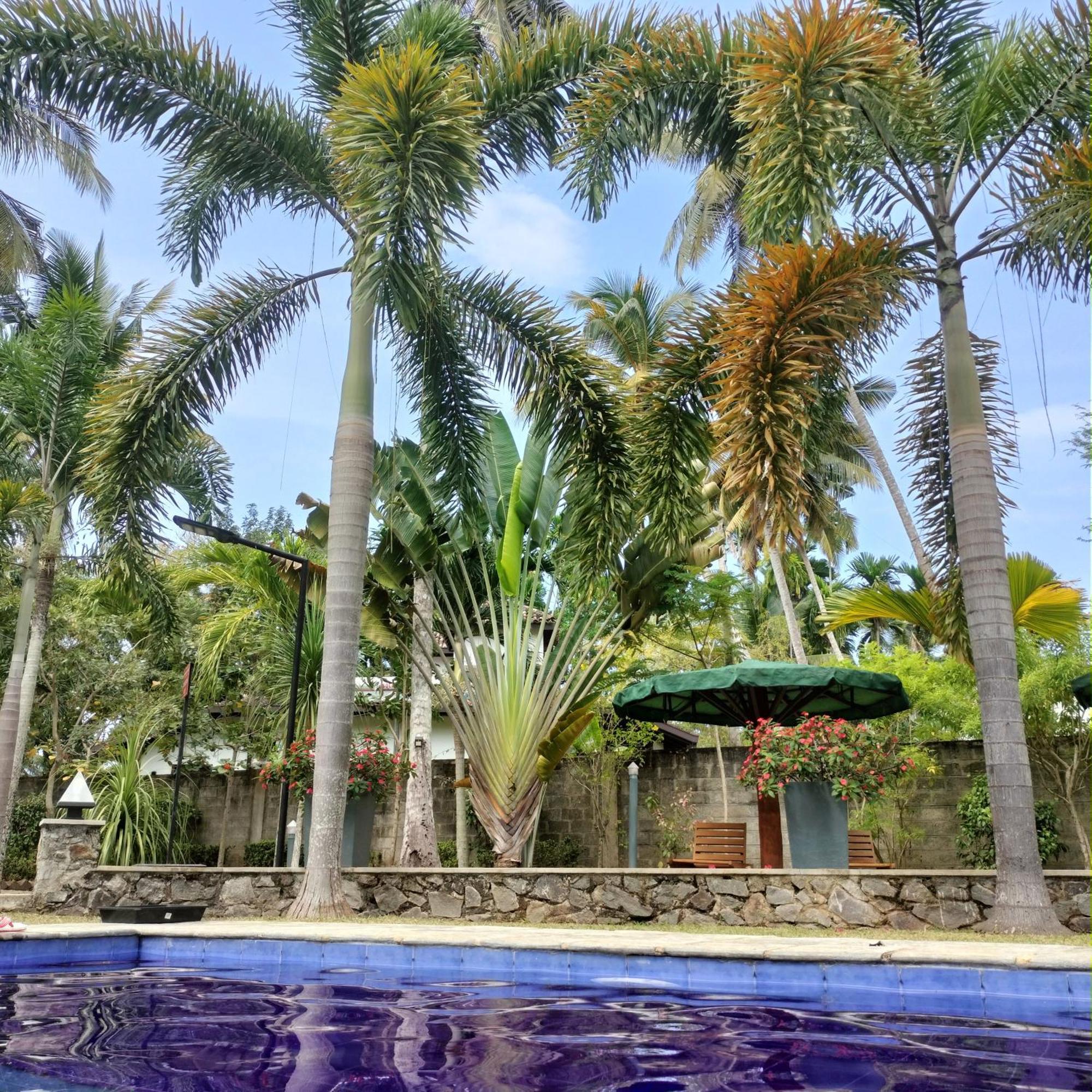 Avalon Village Resort Induruwa Luaran gambar