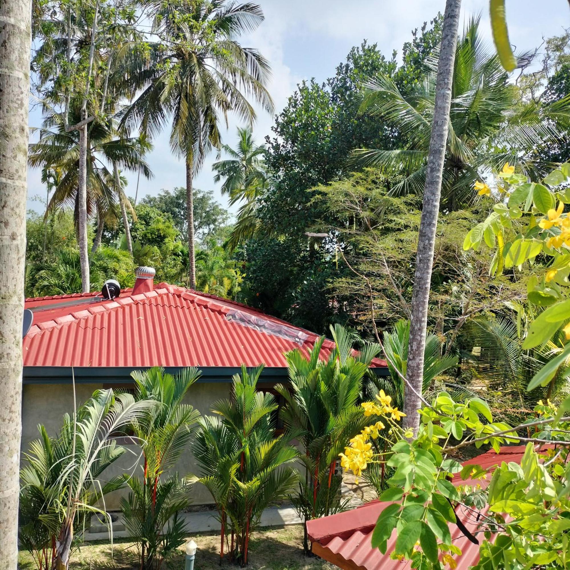 Avalon Village Resort Induruwa Luaran gambar