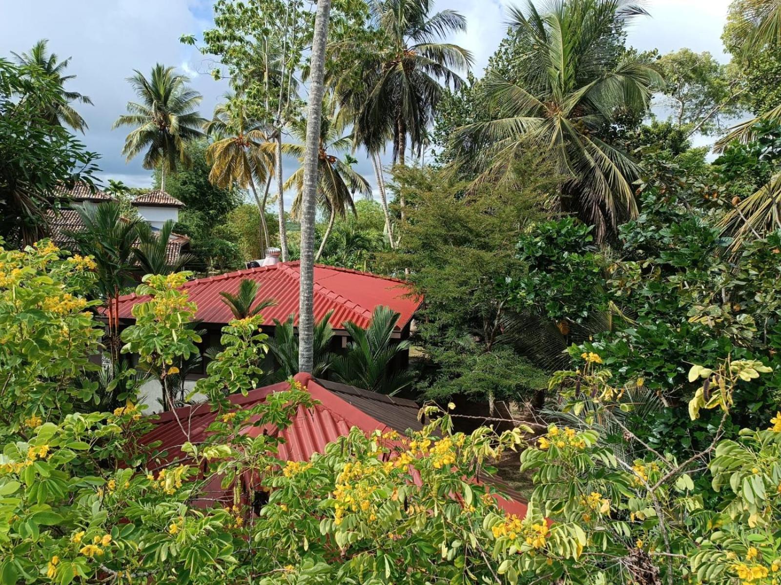 Avalon Village Resort Induruwa Luaran gambar